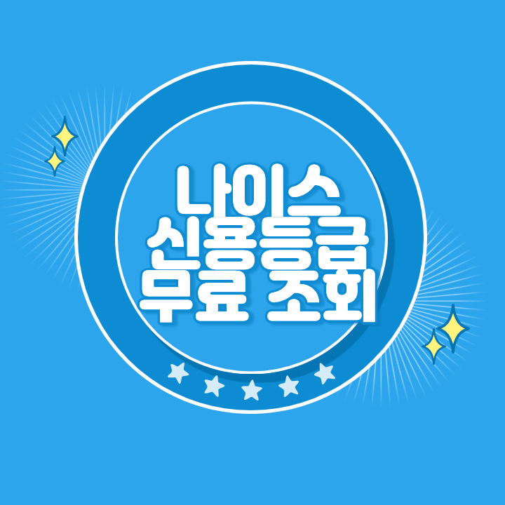 나이스 신용점수 조회