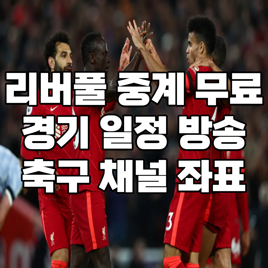 리버풀 중계 무료 채널 좌표 | 프리미어리그 EPL컵 FA컵 챔피언스리그 경기 일정
