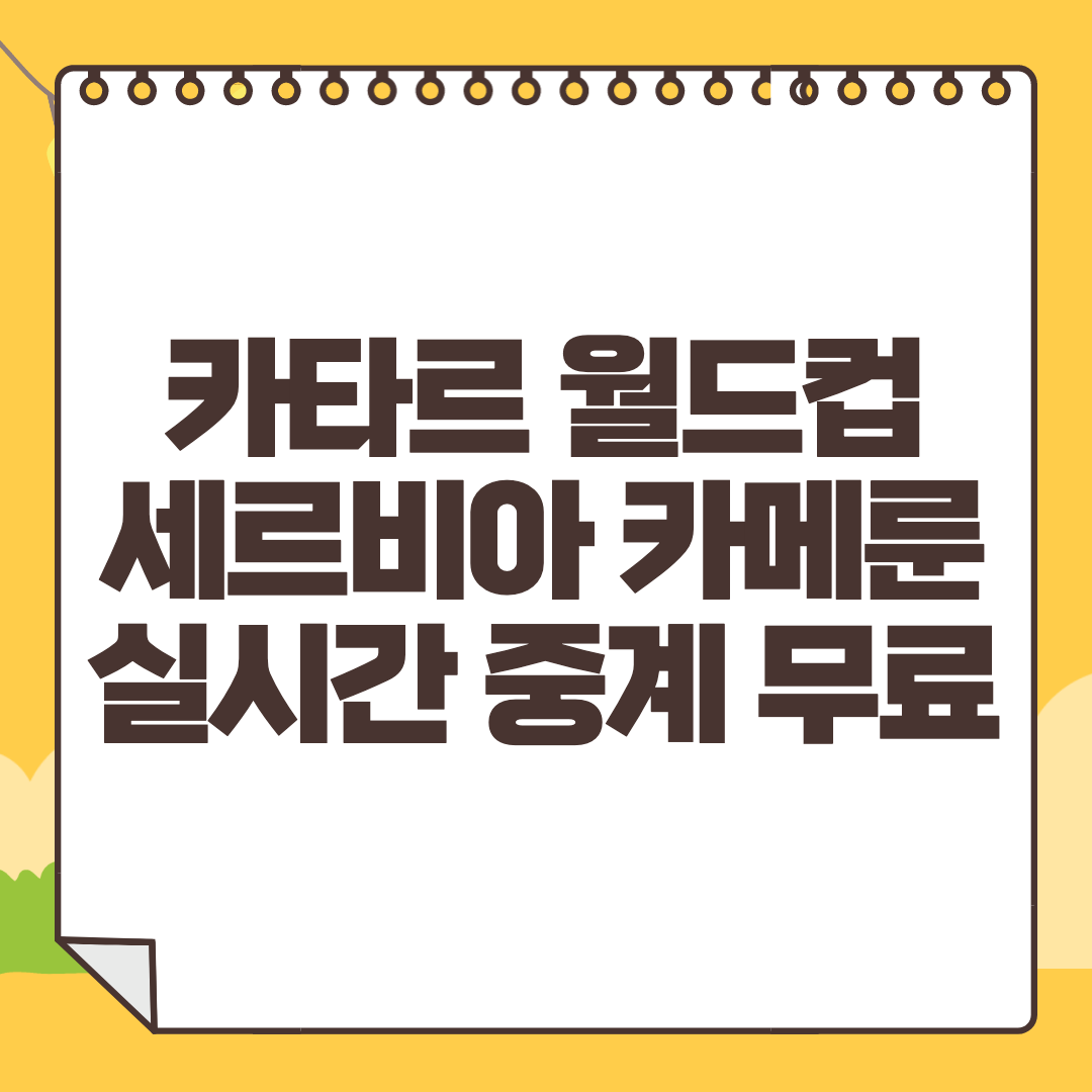 세르비아 카메룬 중계 사이트 카타르 월드컵 생중계 라이브