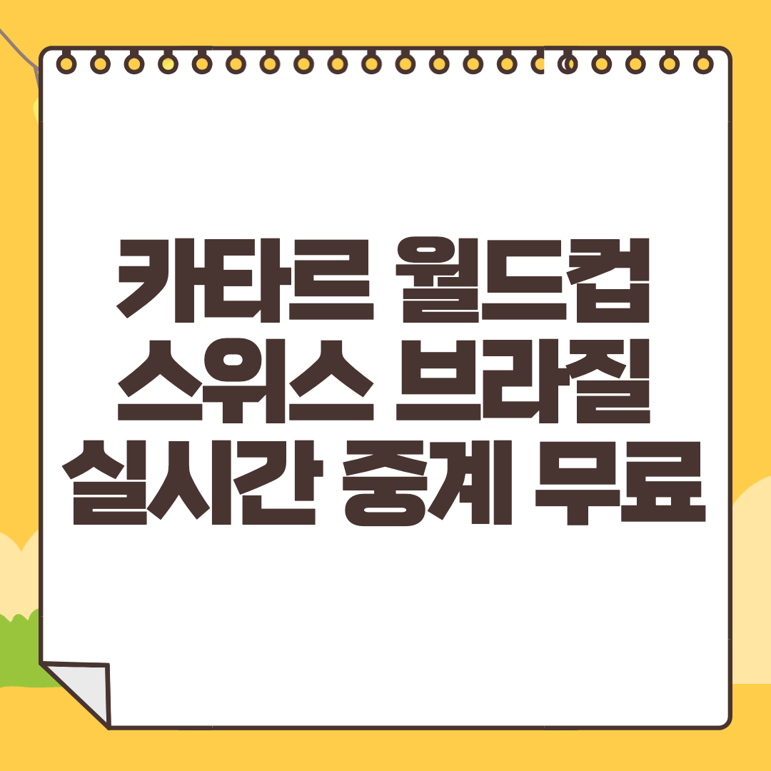 스위스 브라질 중계