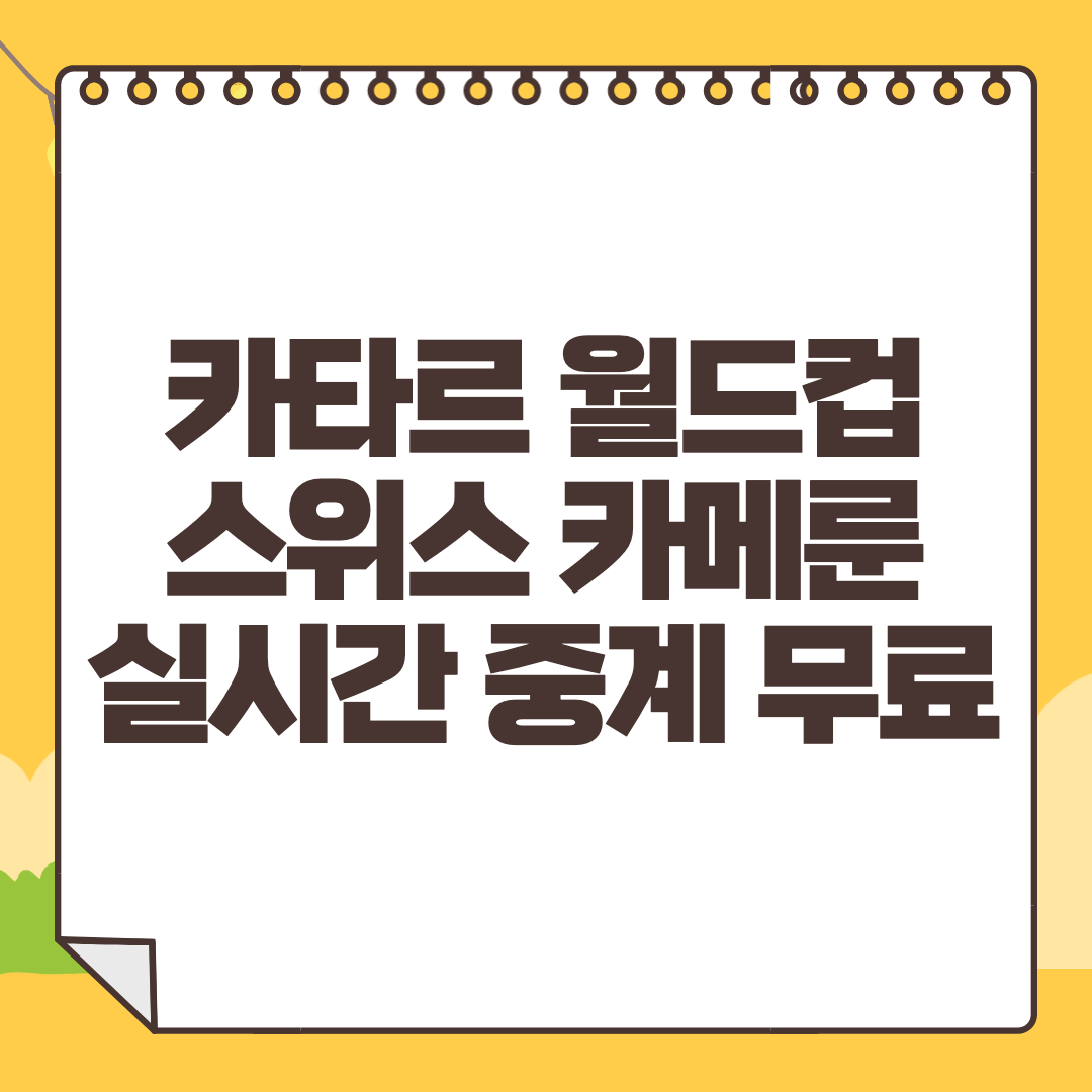스위스 카메룬 중계