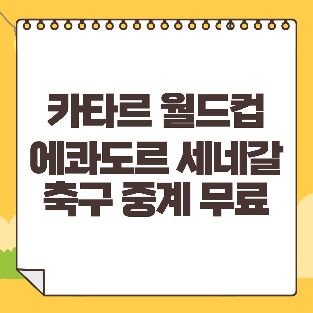 에콰도르 세네갈 중계
