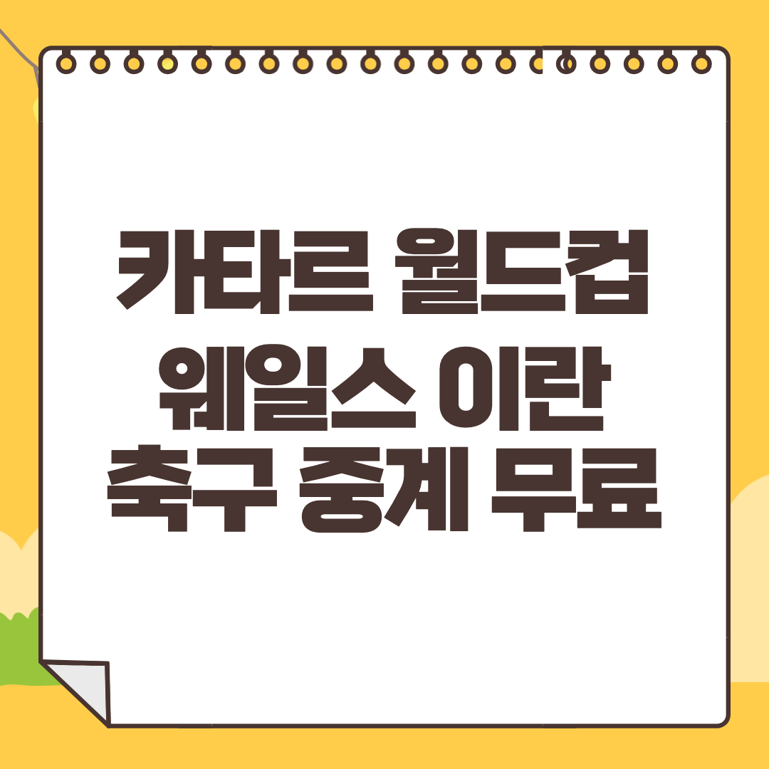 웨일스 이란 중계