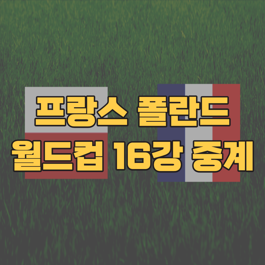 프랑스 폴란드 축구 중계 사이트 카타르 월드컵 16강 생중계 하이라이트