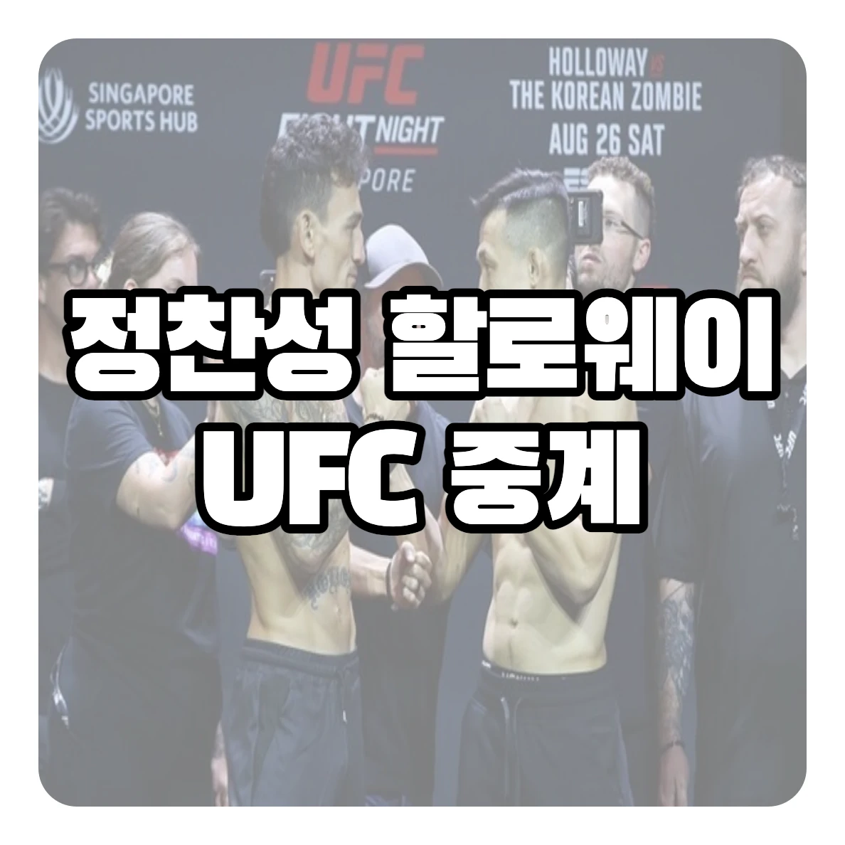 정찬성 할로웨이 중계
