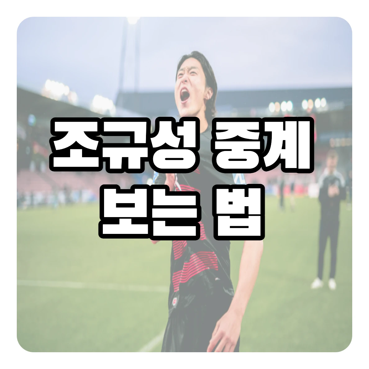 미트윌란 조규성 중계 보는 법, 2023-2024 덴마크 수페르리가 경기일정