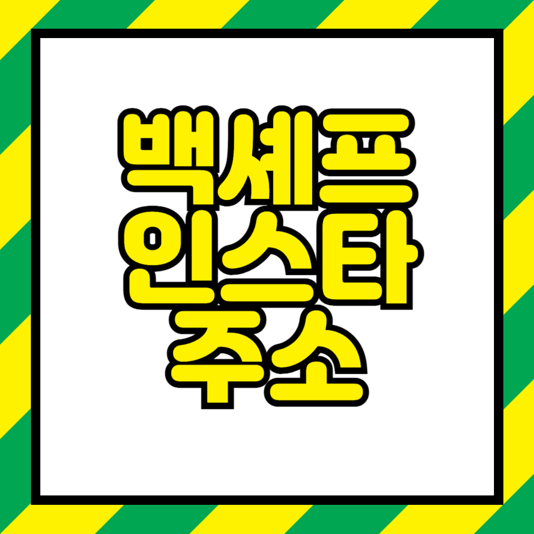 흑백요리사 백수저 셰프 인스타그램 20명 총 정리